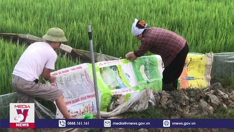 Dùng thuốc diệt cỏ đúng cách để bảo đảm an toàn trong sản xuất