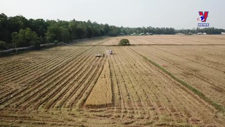 Bản tin tiếng Anh ngày 3/9/2023