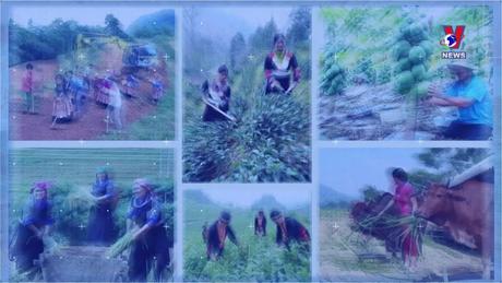 Giảm nghèo bền vững ở Tây Nguyên