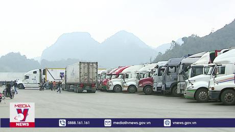 Xuất khẩu sầu riêng cán mốc 1,2 tỷ USD