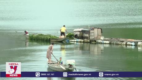 Người nuôi cá lồng gặp khó khăn vì xâm nhập mặn