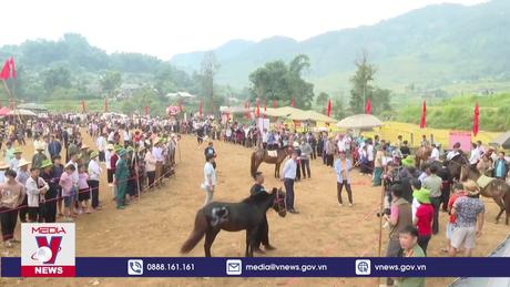 Lên rẻo cao xem người Mông đua ngựa