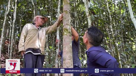 Quảng Ngãi hỗ trợ phát triển sản xuất theo chuỗi giá trị