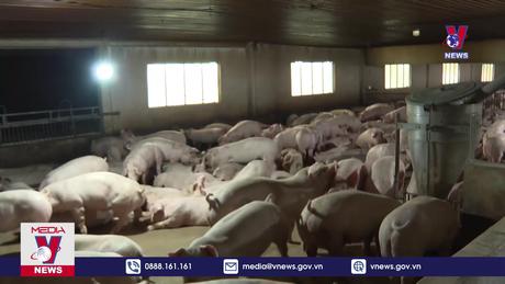 Bình Phước liên kết phát triển chăn nuôi an toàn