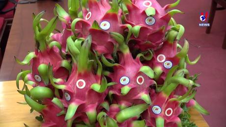 Nhật trình kinh tế ngày 05/9/2023