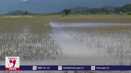 Mưa lũ gây thiệt hại nặng tại Đắk Lắk