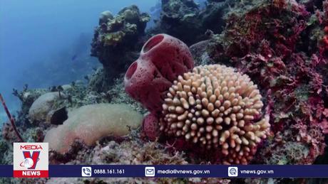 LHQ cảnh báo vấn nạn nạo vét cát