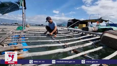 Ngư dân Ninh Thuận phát triển kinh tế từ nghề nuôi biển