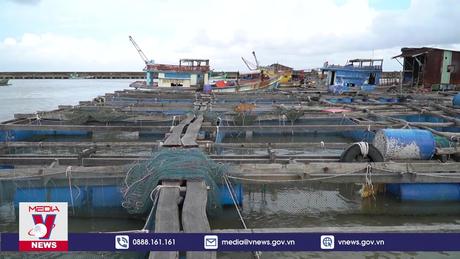 Phát triển bền vững nghề nuôi cá lồng bè ở Kiên Giang