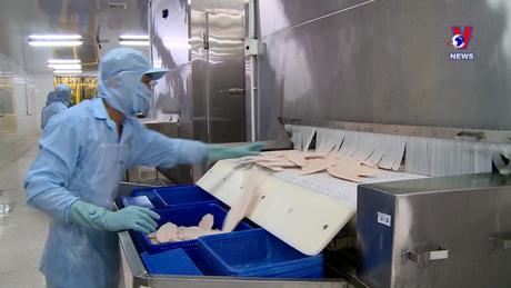 Nhật trình kinh tế ngày 08/9/2023