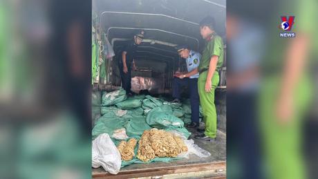 Đường dây nóng 389 ngày 09/9/2023