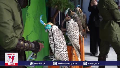 Nga bảo tồn và phát triển quần thể chim săn mồi quý hiếm