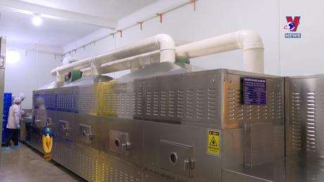 Hỗ trợ pháp lý: Gia tăng lừa đảo giao dịch quốc tế sau COVID-19