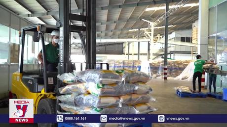 Lý do giá gạo xuất khẩu Việt Nam đột ngột giảm mạnh