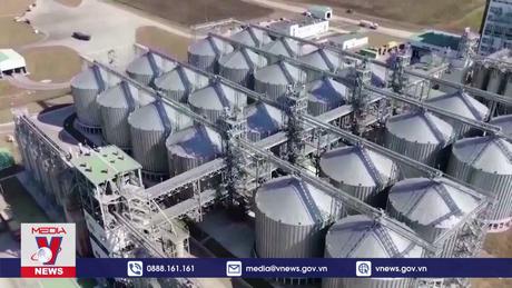 Nga tái khẳng định lập trường về Sáng kiến Ngũ cốc Biển Đen