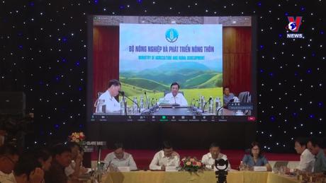 Nhật trình kinh tế ngày 12/9/2023