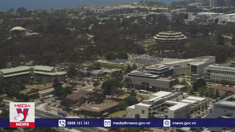 Ứng dụng AI giúp ngăn thảm họa cháy rừng