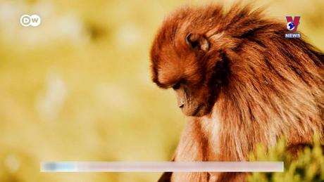 Tạp chí toàn cầu số 785 ngày 13/9/2023