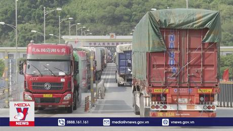 Xuất nhập khẩu hàng hóa qua cửa khẩu Lào Cai ổn định