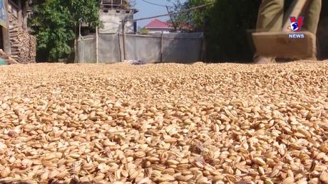 Khoa học và Công nghệ: Tạo thương hiệu để nâng giá trị cho sản phẩm nông sản