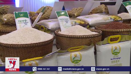 Campuchia kỳ vọng đạt mục tiêu xuất khẩu gạo