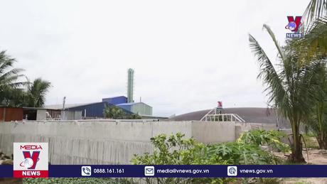 Tây Ninh xử lý nghiêm các vi phạm môi trường 