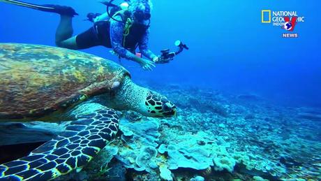 Tương lai Xanh ngày 08/6/2023