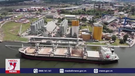 Ba Lan, Slovakia và Hungary áp đặt lệnh cấm nhập khẩu ngũ cốc Ukraine