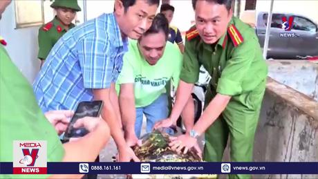 Bàn giao rùa biển quý hiếm có nguy cơ tuyệt chủng