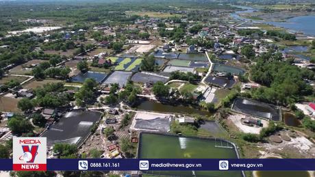 Nuôi tôm tự phát gây nhiều hệ lụy ở Quảng Trị