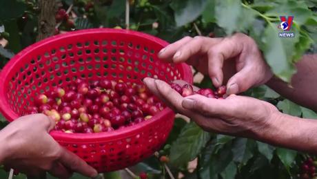 Nhật trình kinh tế ngày 16/9/2023