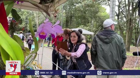 Rực rỡ triển lãm hoa lan quốc tế tại Colombia
