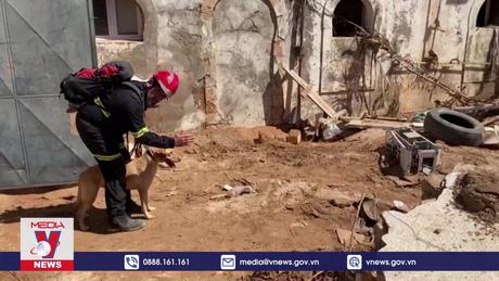 Libya điều tra sự cố vỡ đập tại thành phố Derna