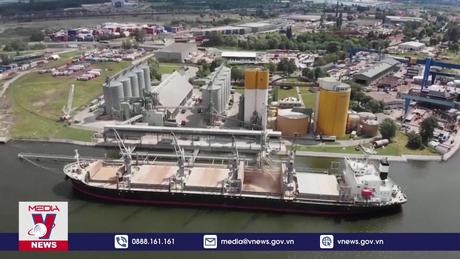 EU kêu gọi tinh thần xây dựng về vấn đề ngũ cốc Ukraine