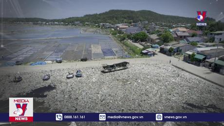 Vì một Việt Nam xanh - sạch 