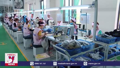 Tuyên Quang giải quyết việc làm cho hơn 18.000 lao động 