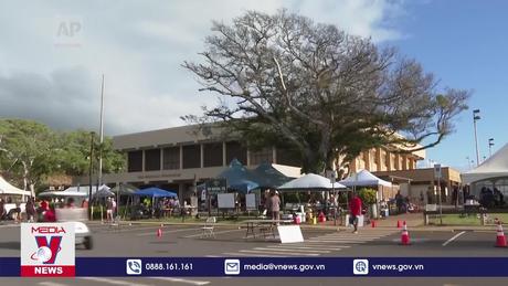 Những nạn nhân “âm thầm” sau thảm họa 