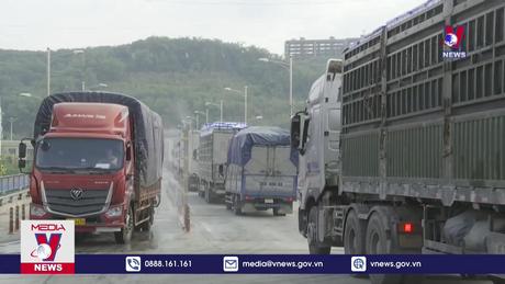 N﻿hiều dư địa cho nông sản Việt xuất sang Trung Quốc  