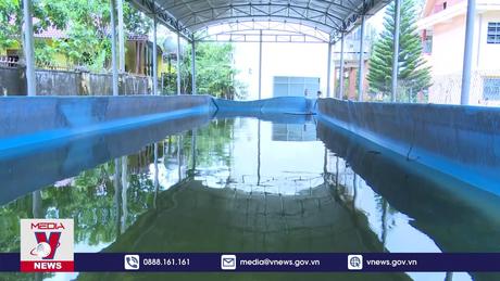 Gia Lai không nên để lãng phí các bể bơi ở trường học