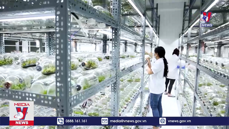 Bản tin thời sự 20h ngày 19/9/2023