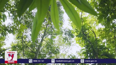 Vịnh Hạ Long xuất hiện trong bom tấn hậu tận thế của Hollywood