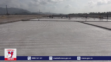 Việt Nam nhập khẩu hàng tỷ USD tiền muối mỗi năm