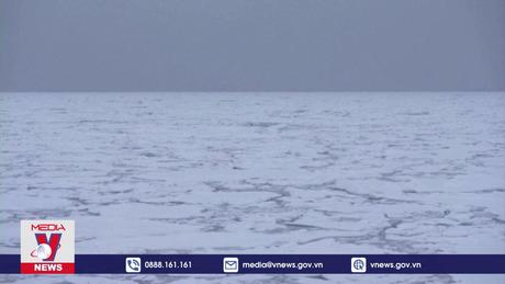 Thế giới đã vượt qua 6/9 giới hạn an toàn cho cuộc sống