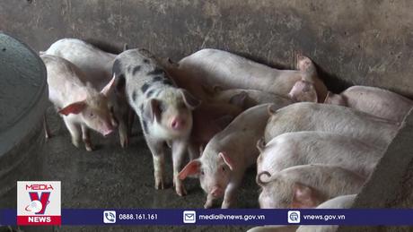 Đồng Nai yêu cầu tạm ngưng chăn nuôi tại 328 trang trại