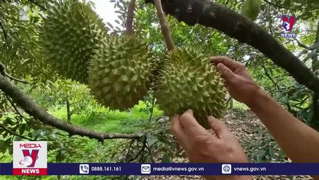 Ninh Thuận đẩy mạnh phát triển du lịch cộng đồng