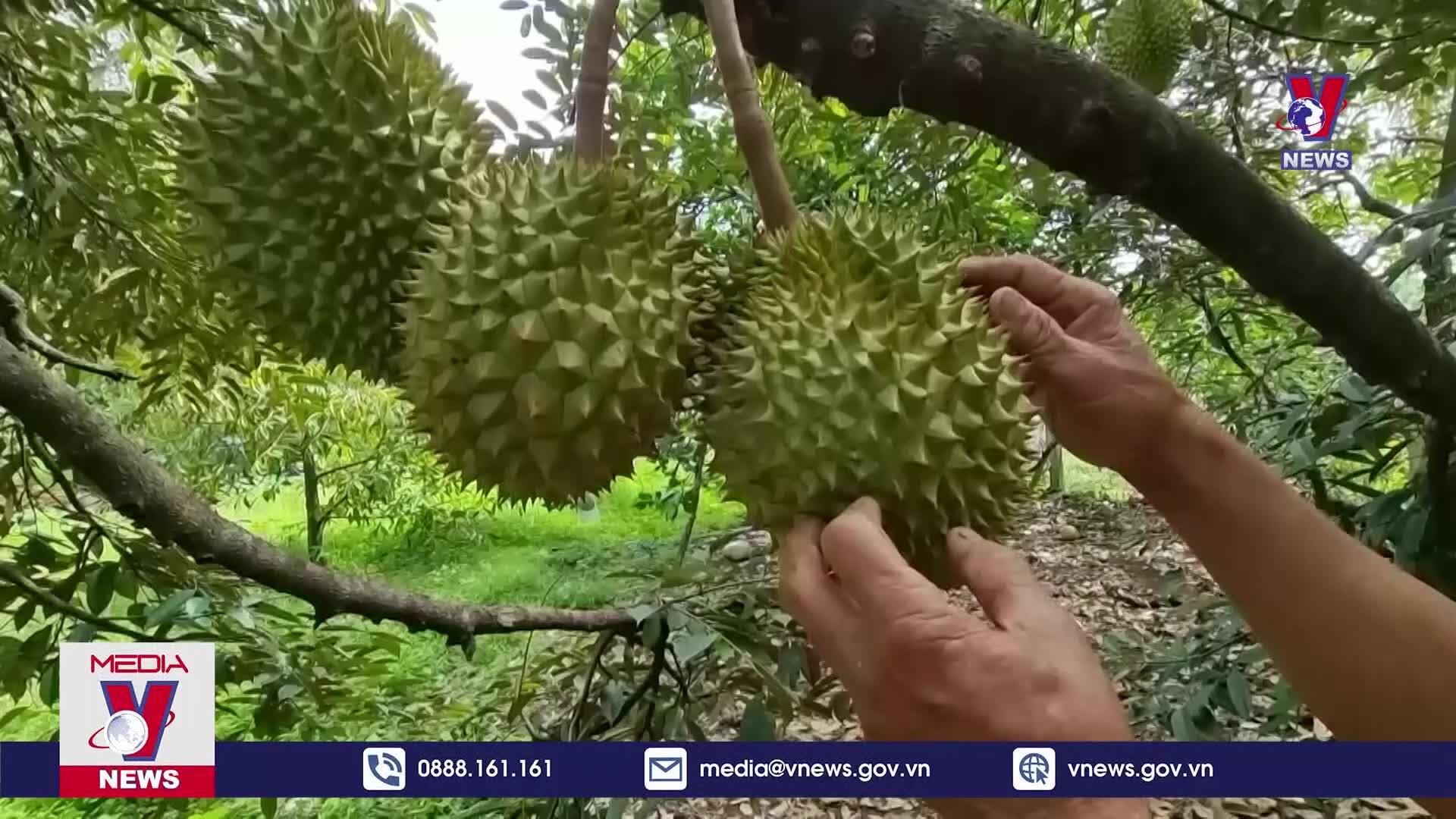 Ninh Thuận đẩy mạnh phát triển du lịch cộng đồng