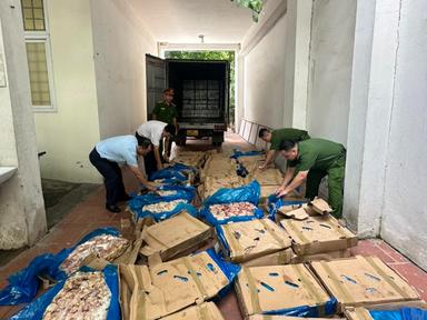 Hà Nội: Tạm giữ trên 1,2 tấn cánh gà có dấu hiệu nhập lậu