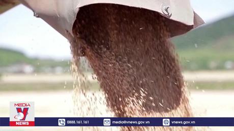 Căng thẳng quan hệ Ukraine - Ba Lan