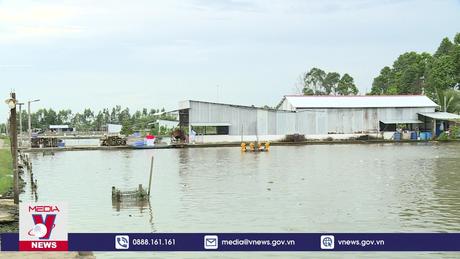 Tiếp sức cho thủy sản