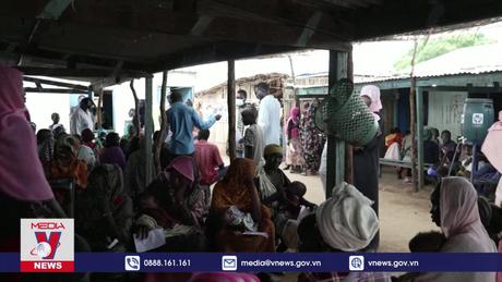 Ai Cập kêu gọi hợp tác quốc tế hỗ trợ nhân đạo ở Sudan